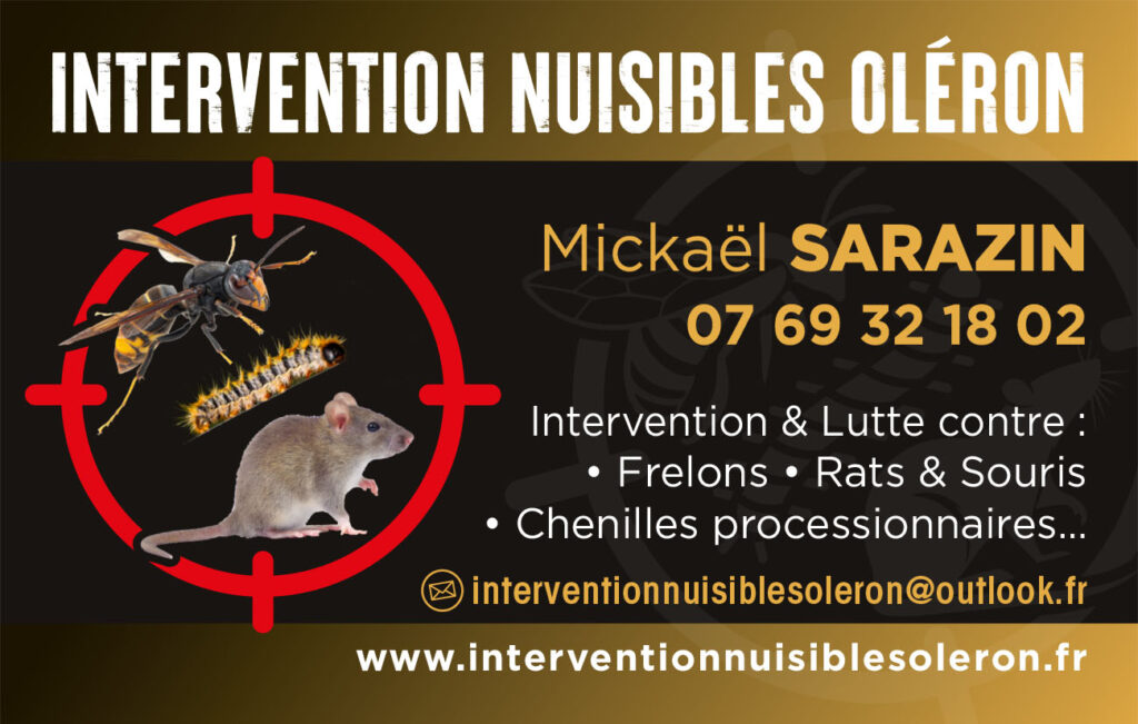 Intervention Nuisibles Oléron - Lutte contre Frelons Guêpes Chenilles Processionnaires Souris Rats Ravageurs Sanglier