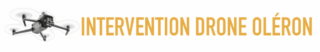 Logo Intervention Drone Oleron