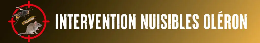 Logo Intervention Nuisibles Oléron