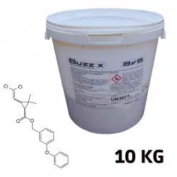 Lutte contre Frelons & Guêpes Poudre insecticide Perméthrine